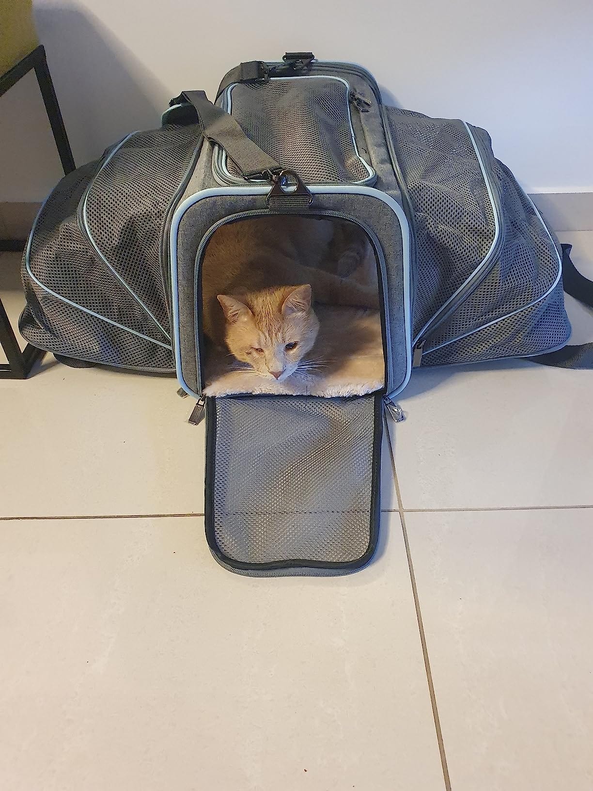 Airline Ready Dog & Cat Carrier - Image 10