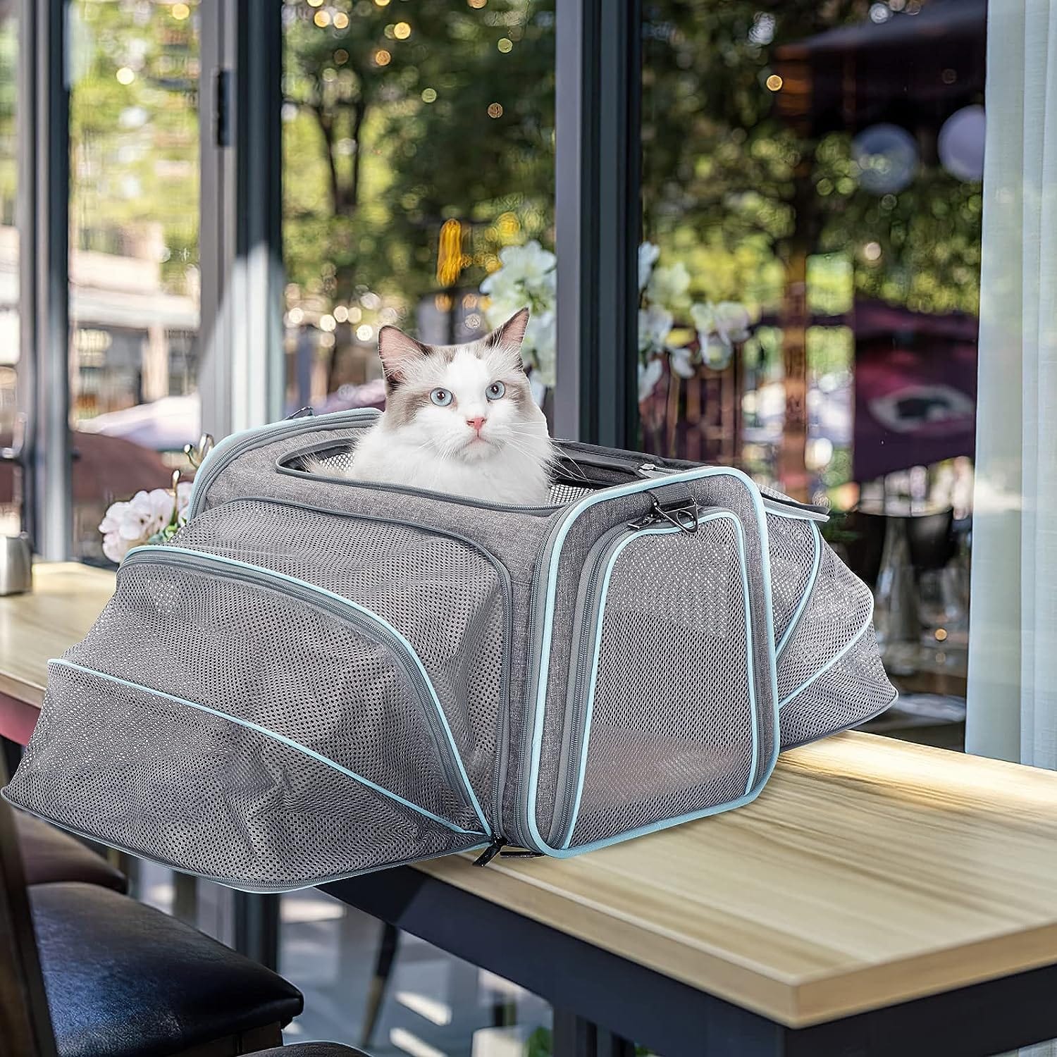Airline Ready Dog & Cat Carrier - Image 12
