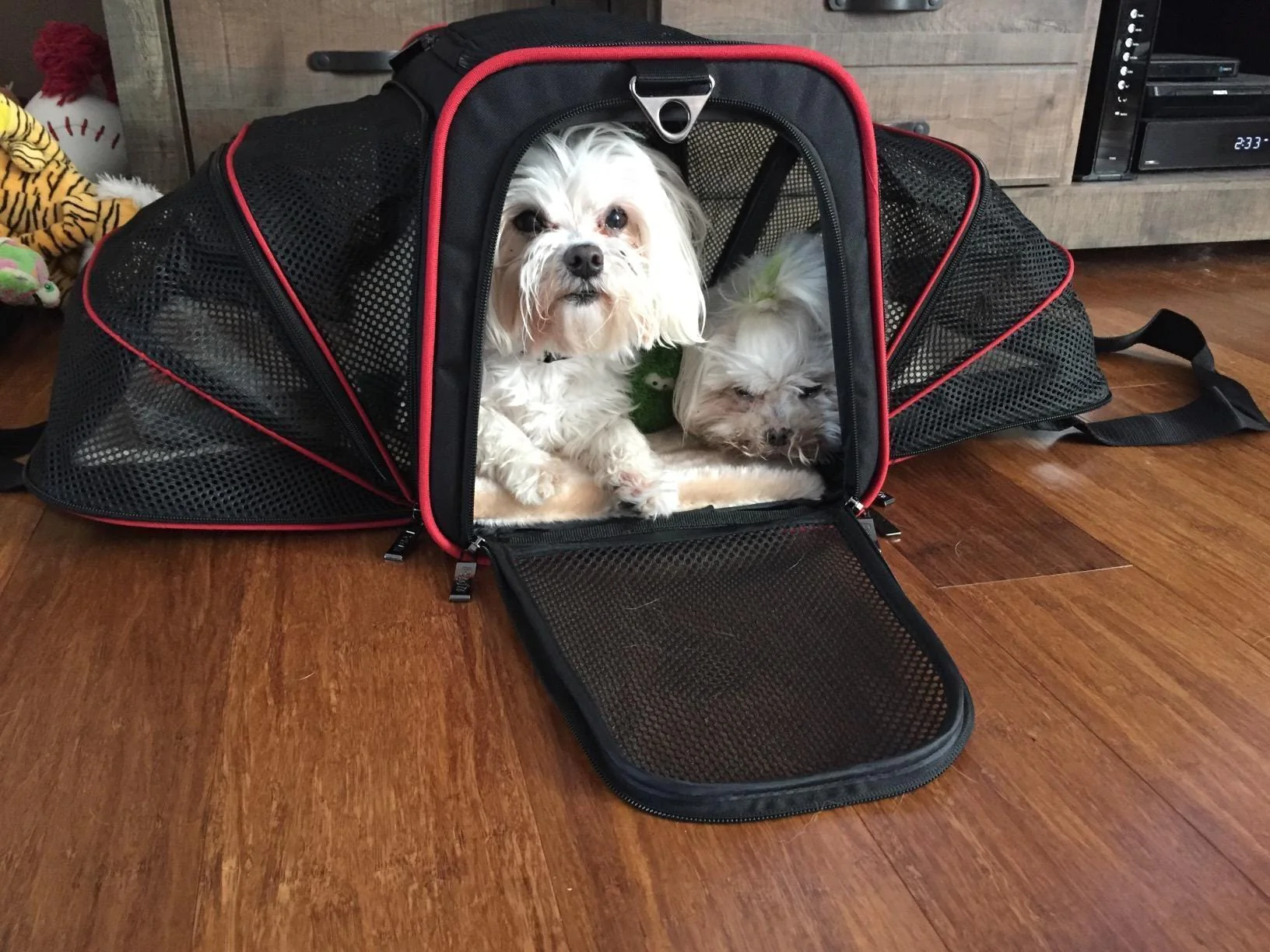 Airline Ready Dog & Cat Carrier - Image 5