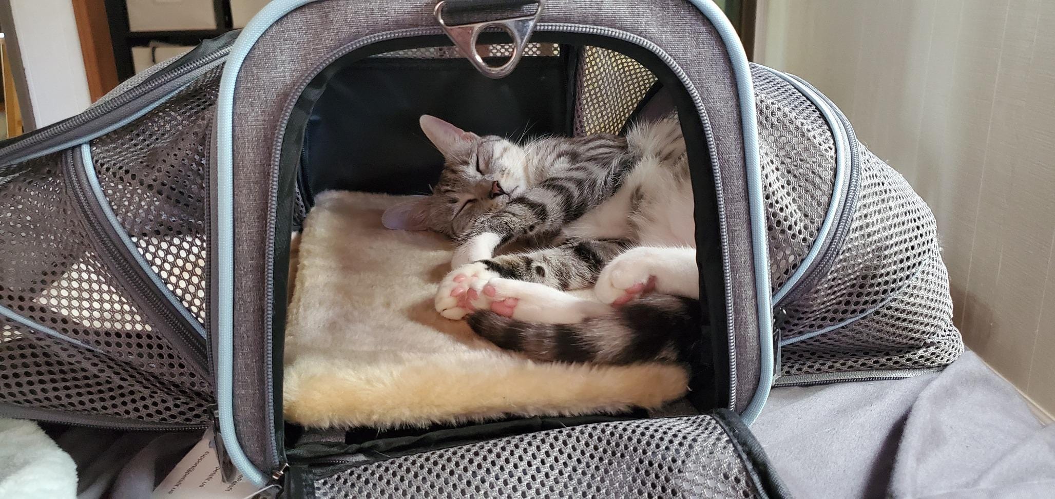 Airline Ready Dog & Cat Carrier - Image 6