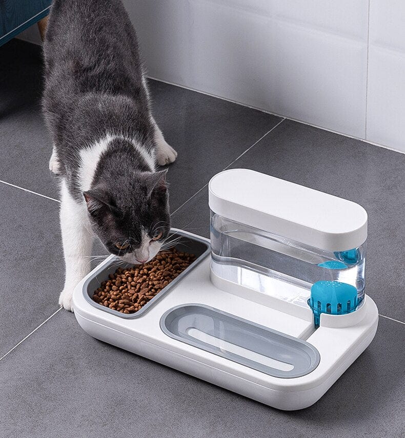 Automatic Feeder & Water Dispenser - Image 3