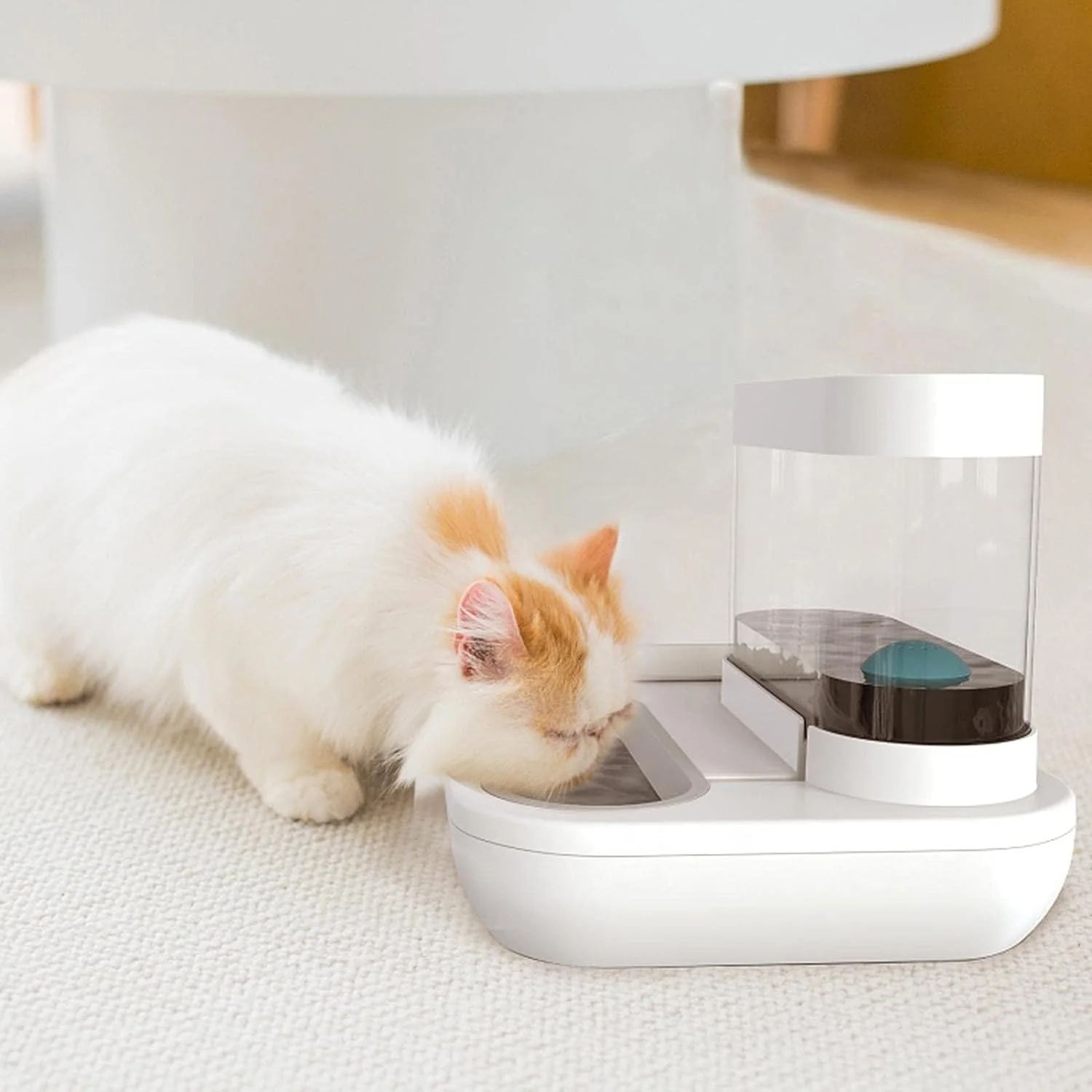 Automatic Feeder & Water Dispenser - Image 7