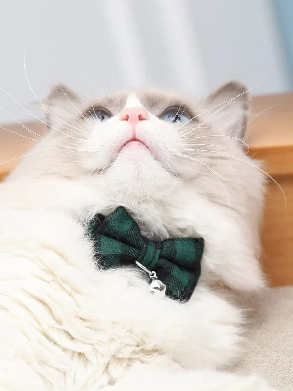 Bow Tie Cat Collar with Bell - Image 3
