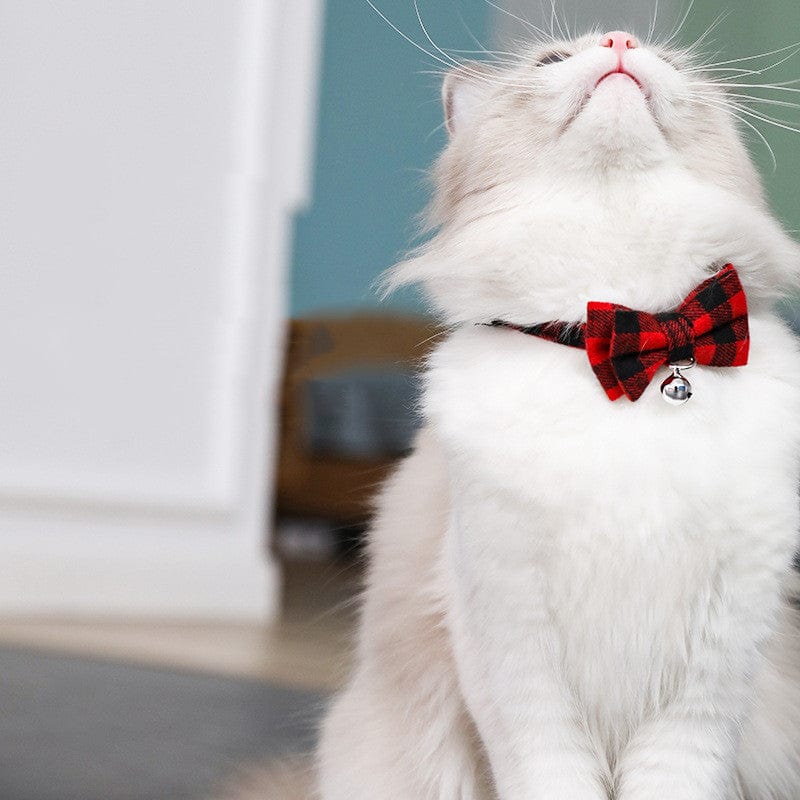 Bow Tie Cat Collar with Bell - Image 4