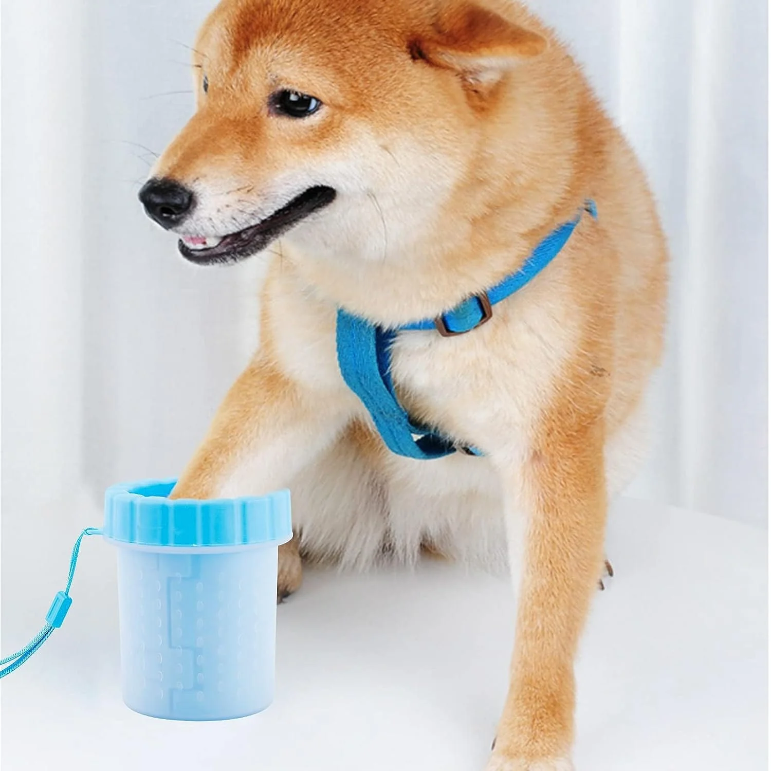 Buddies Dog Paw Cleaner - Image 3