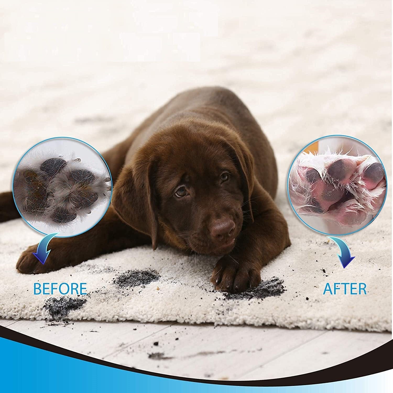 Buddies Dog Paw Cleaner - Image 8