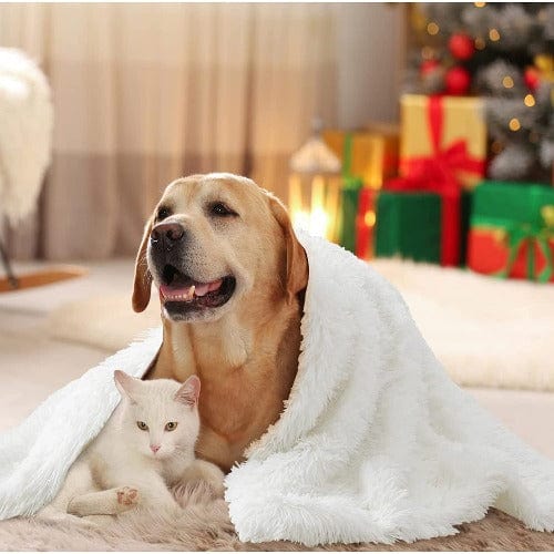 Calming Snuggle Pet Blanket - Image 11