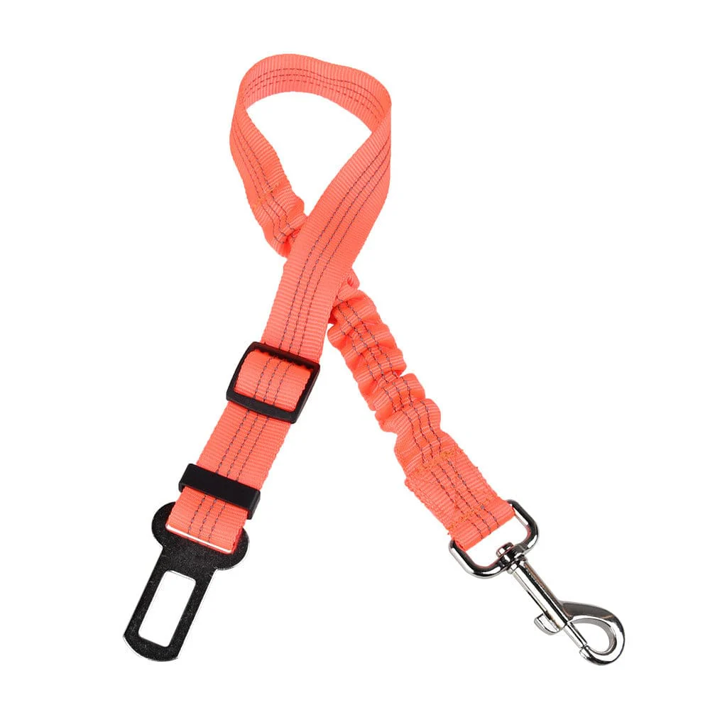 Click Clack Car Leash - Image 6