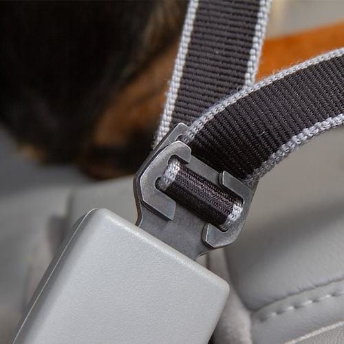 Click Clack Car Leash - Image 9