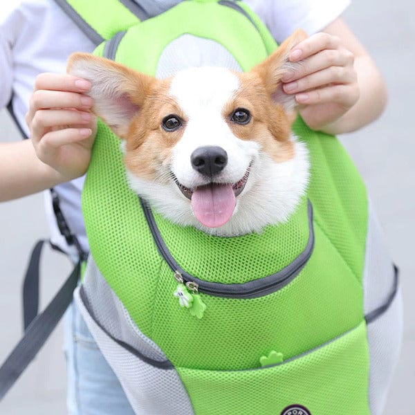 Companion Dog Backpack - Image 3