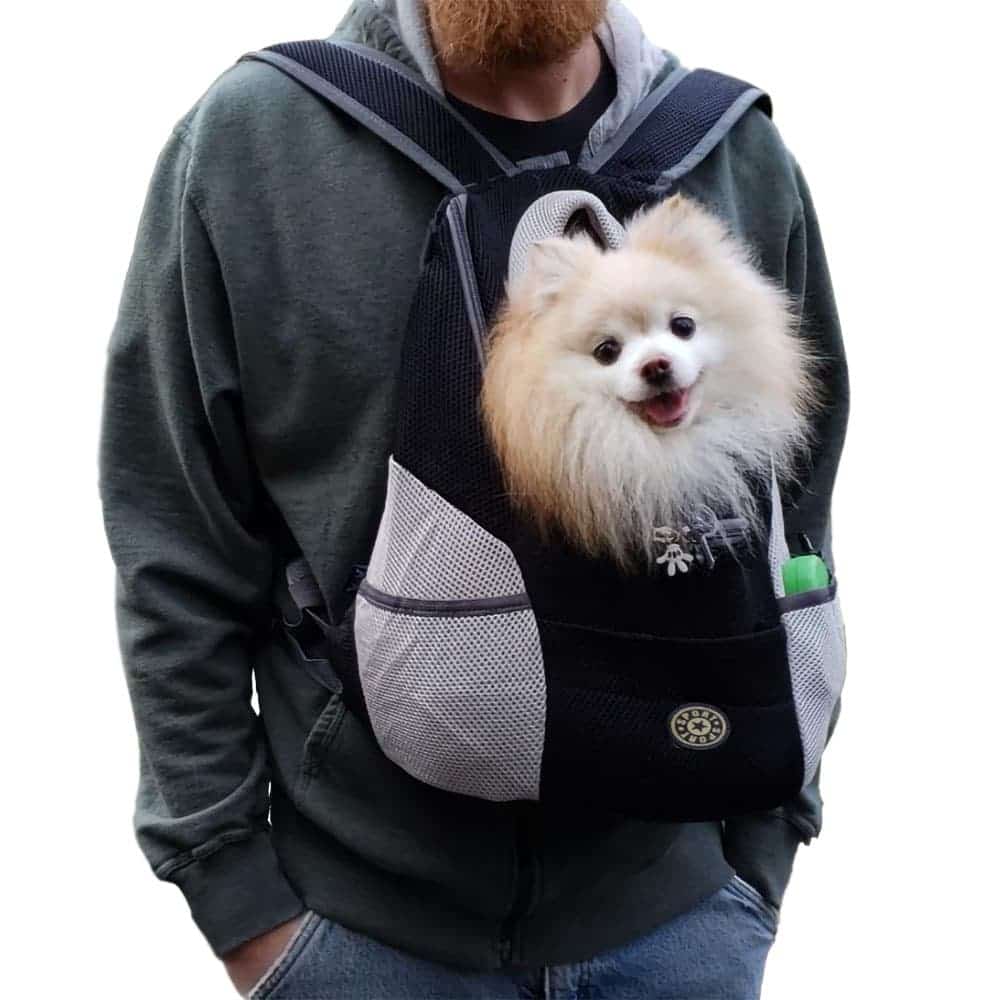 Companion Dog Backpack - Image 6