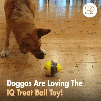IQ Treat Toy - Image 6