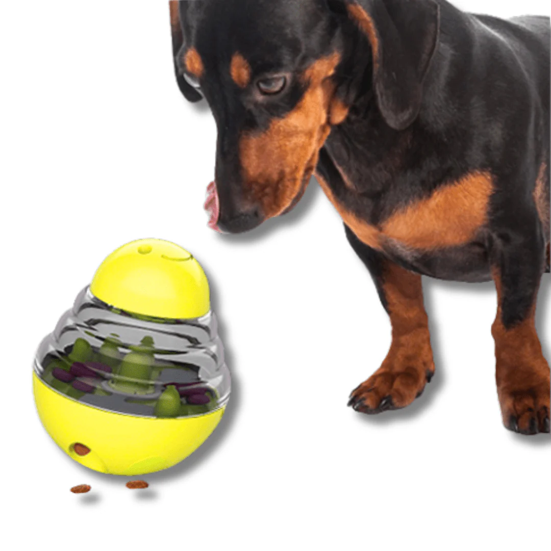 IQ Treat Toy - Image 7