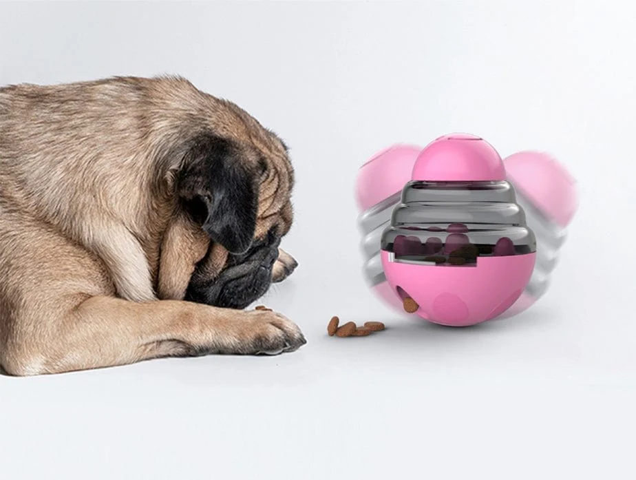 IQ Treat Toy - Image 8