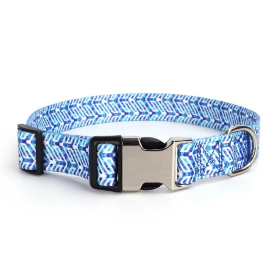 Personalized Engraved Dog Collar - Image 5