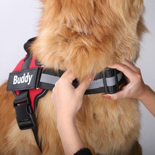 Personalised No Pull Dog Harness - Image 4