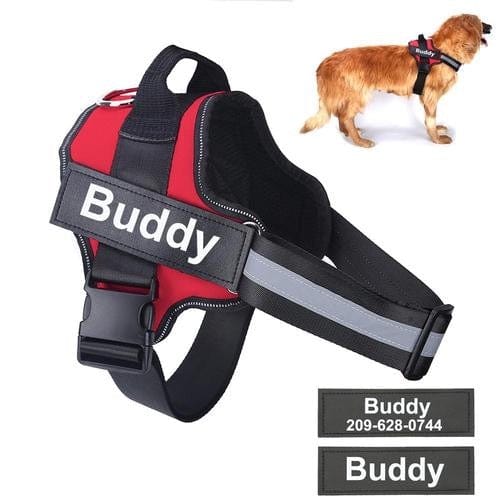 Personalised No Pull Dog Harness - Image 6