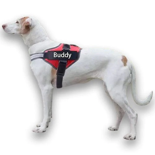 Personalised No Pull Dog Harness - Image 7