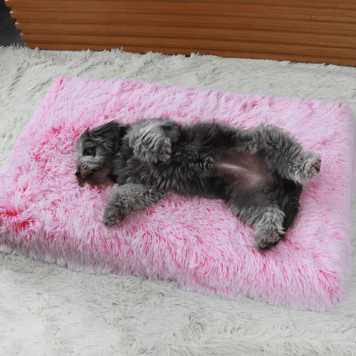 Ultimate Comfort Calming Dog Bed - Image 7