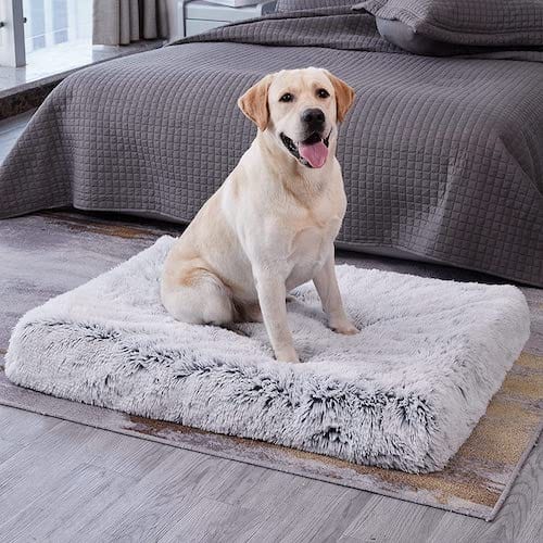 Ultimate Comfort Calming Dog Bed - Image 8