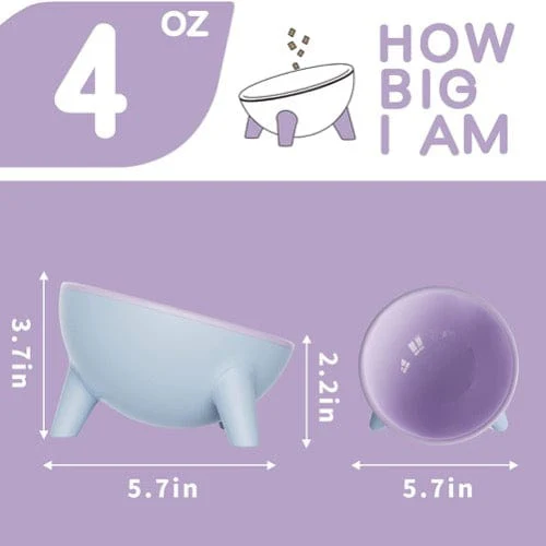 Raised Tilted Pet Bowls - Image 8