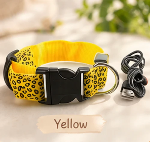 Safety LED light up Collars - Image 3