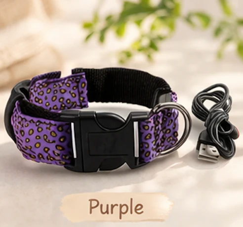 Safety LED light up Collars - Image 5