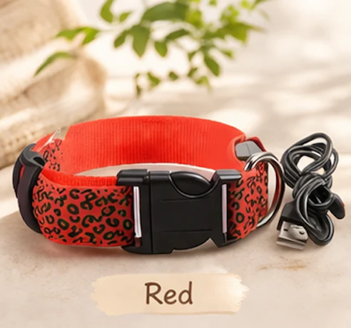 Safety LED light up Collars - Image 9
