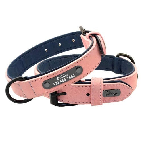 Stylish Custom Collar and Leash Set - Image 4