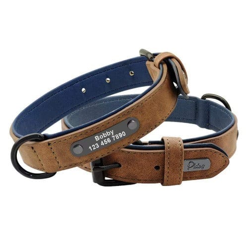 Stylish Custom Collar and Leash Set - Image 6