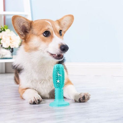 Ultimate Molar Chew Toy - Image 3