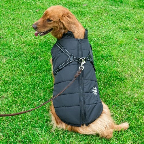 Waterproof Dog Jacket With Harness - Image 10