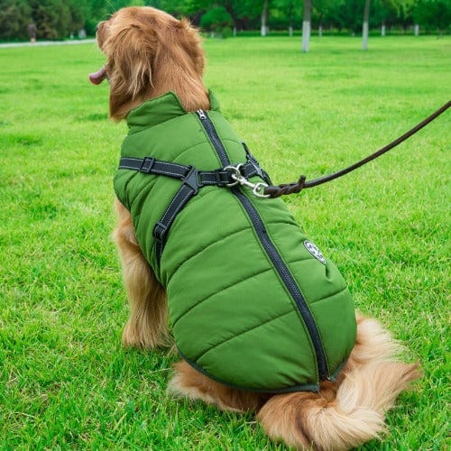 Waterproof Dog Jacket With Harness - Image 5