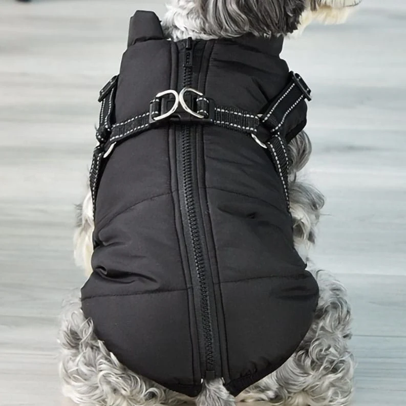 Waterproof Dog Jacket With Harness - Image 6