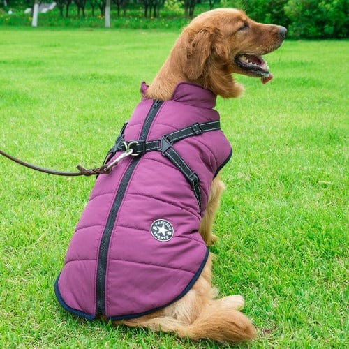 Waterproof Dog Jacket With Harness - Image 7