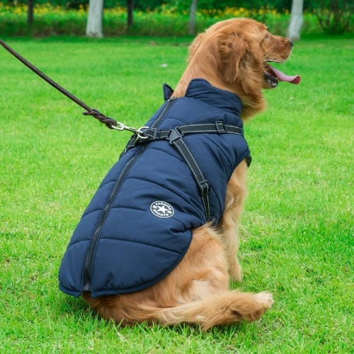 Waterproof Dog Jacket With Harness - Image 8